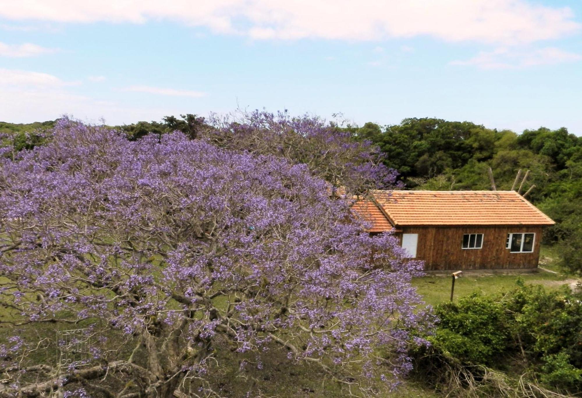 Aldeia Santuario Das Aves Tavares Δωμάτιο φωτογραφία
