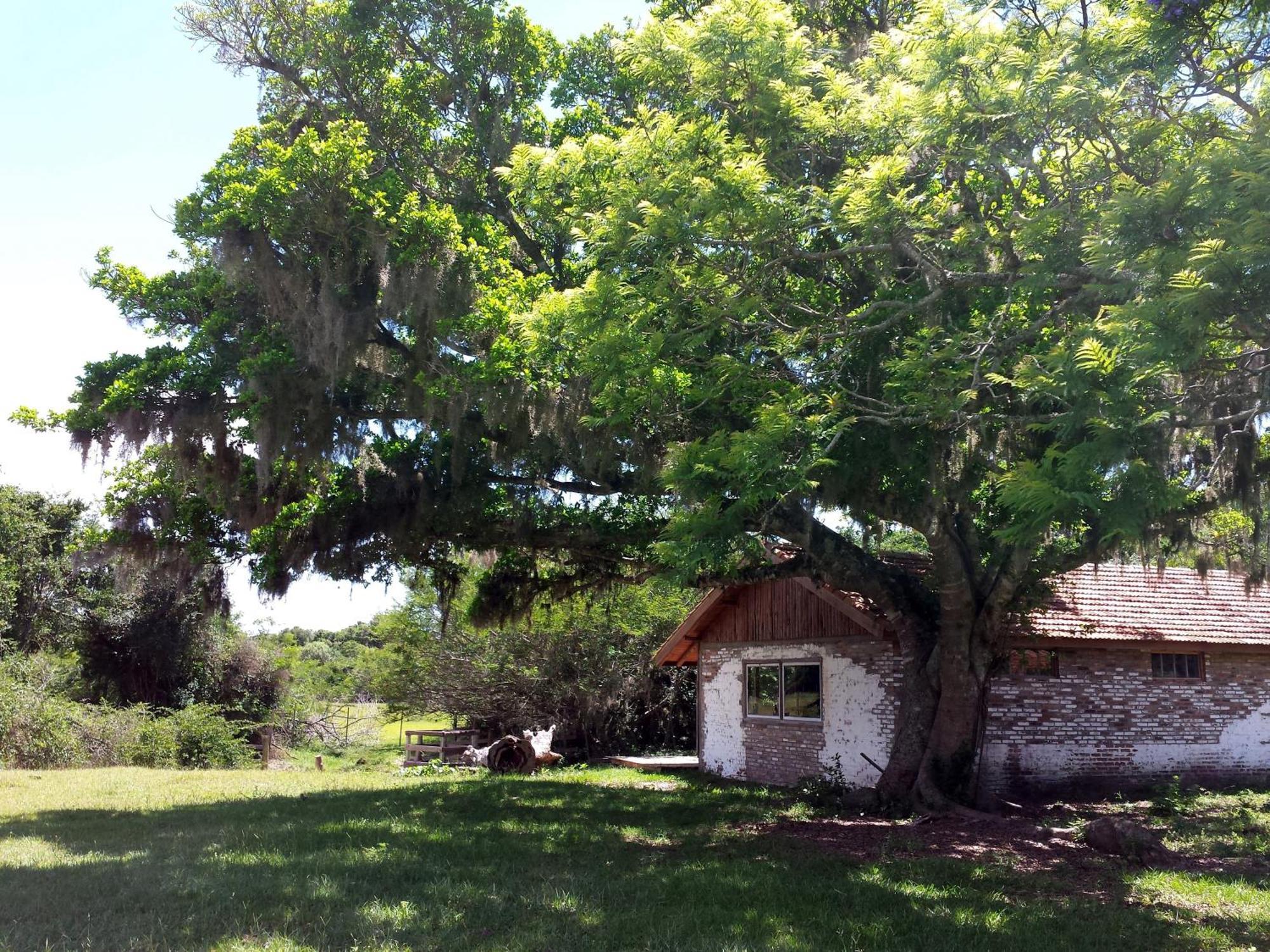 Aldeia Santuario Das Aves Tavares Δωμάτιο φωτογραφία