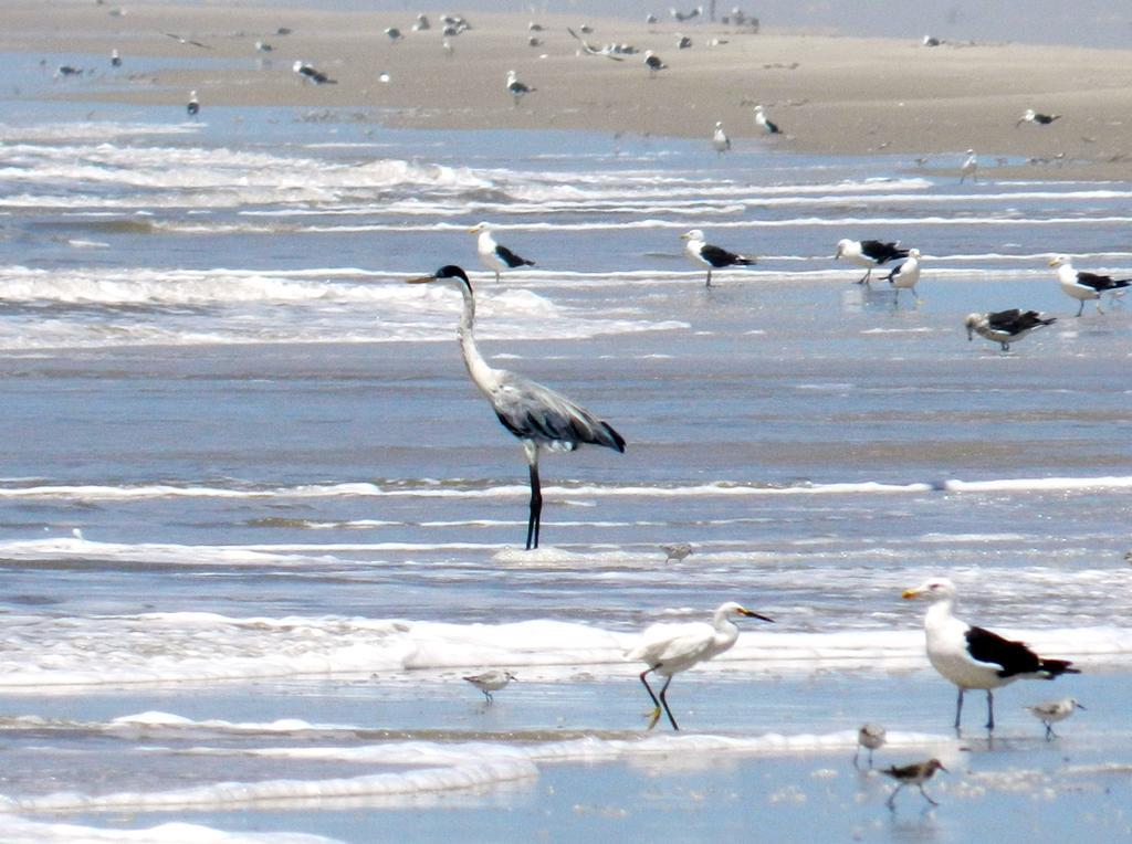 Aldeia Santuario Das Aves Tavares Εξωτερικό φωτογραφία
