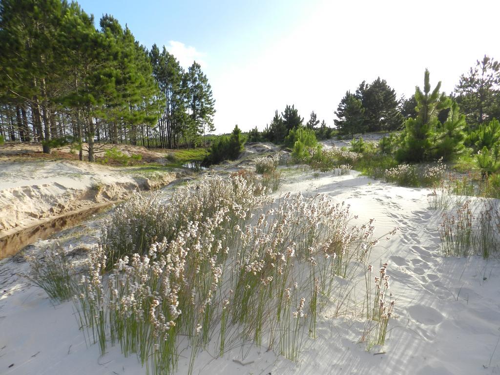 Aldeia Santuario Das Aves Tavares Εξωτερικό φωτογραφία