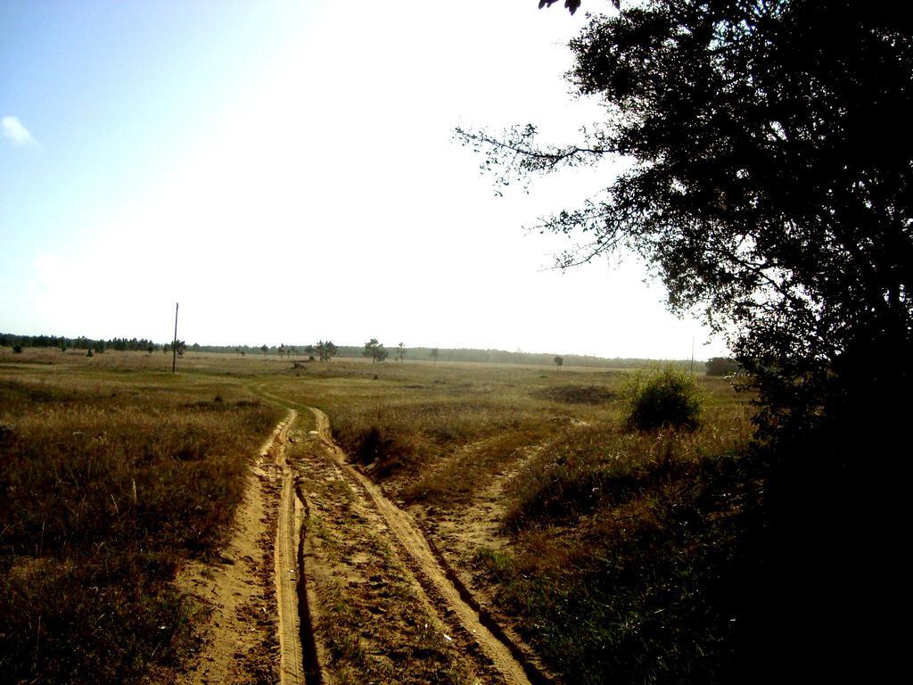 Aldeia Santuario Das Aves Tavares Εξωτερικό φωτογραφία