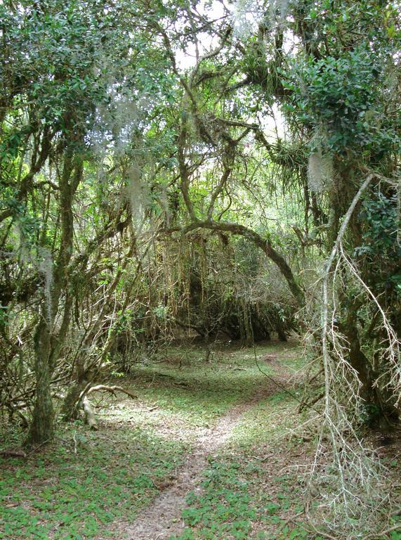 Aldeia Santuario Das Aves Tavares Εξωτερικό φωτογραφία