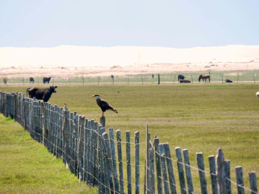 Aldeia Santuario Das Aves Tavares Εξωτερικό φωτογραφία