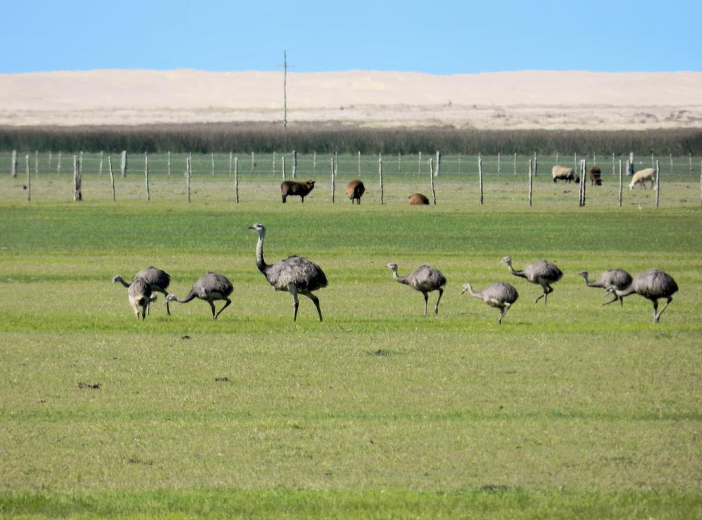 Aldeia Santuario Das Aves Tavares Εξωτερικό φωτογραφία