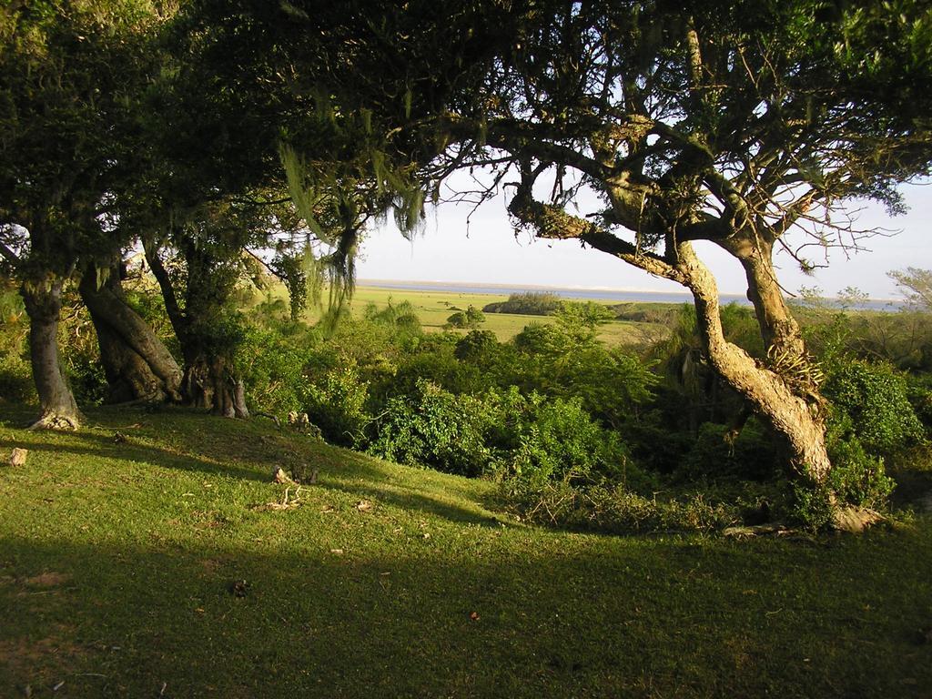 Aldeia Santuario Das Aves Tavares Εξωτερικό φωτογραφία